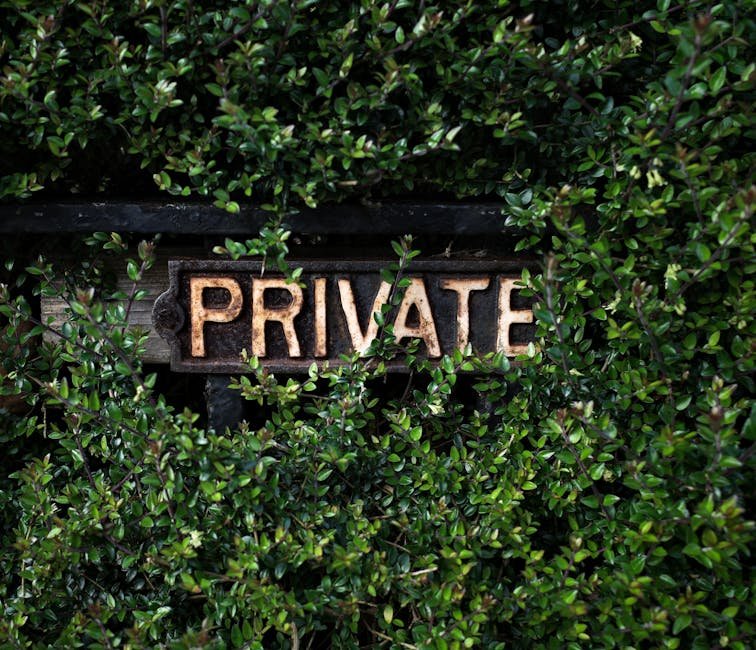 Marketing’s Dirty Little Secret: Succession Planning Is a Graveyard No One Wants to Visit