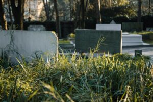 Omnicom’s Agency Graveyard Grows: 180 and adam&eveDDB NY Cannibalized Into Lola USA
