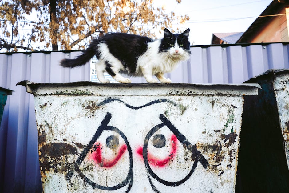 Schema.org Adoption Is a Dumpster Fire: Why Most Publishers Are Wasting Time on Half-Baked Markup
