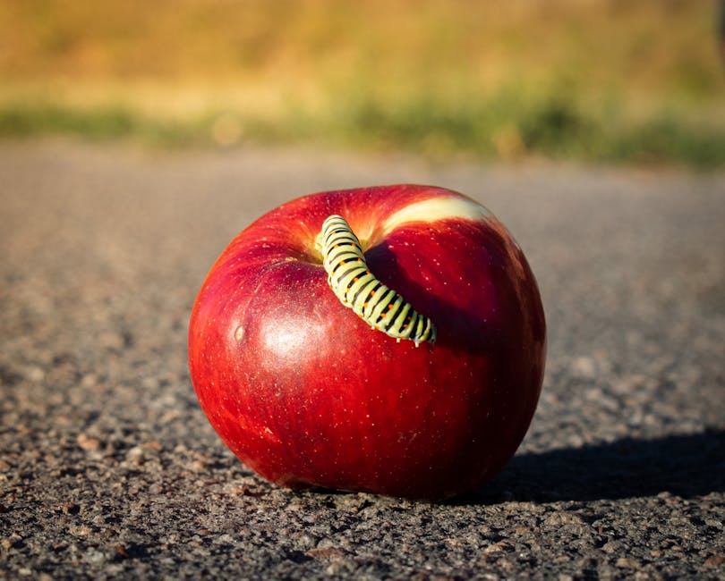 Applebot Crawling: Why Apple’s Search Is Still a Ghost to Publishers