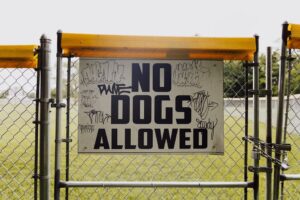 Cannes Lions’ New Entry Rules Are a Pain, But They’re the Anti-Grift We Desperately Needed