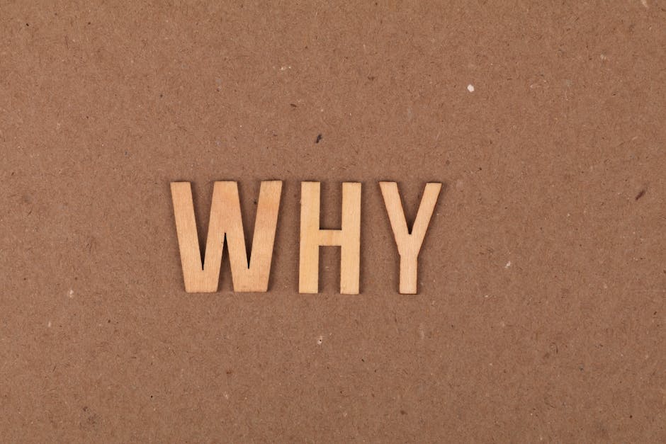 Marketing's Big Lie: Why Chasing Buzz Over Business Kills Investment