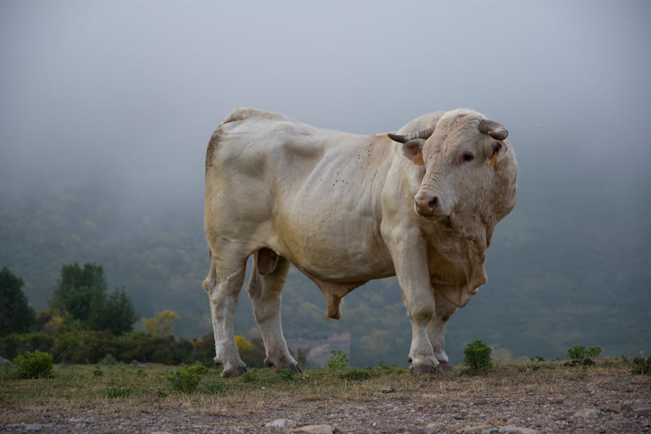 May 11, Monday: Navigating the Taurus Bull and Pisces Fins