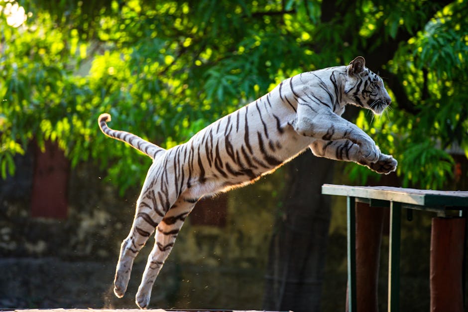 Monday's Ambitions: Leaping with the Moon in Aries