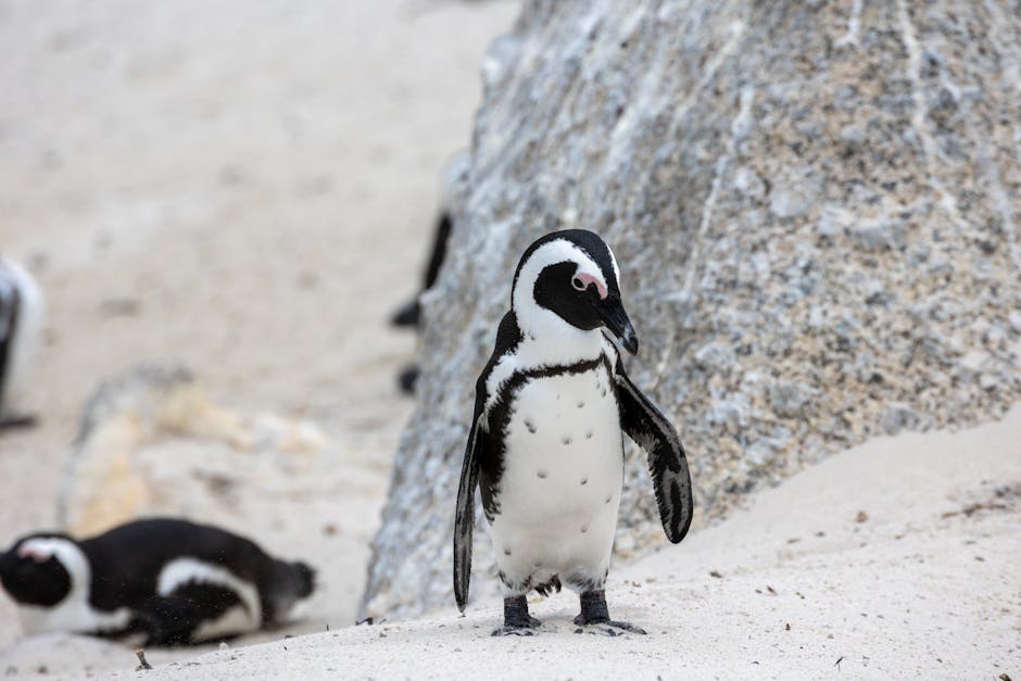 Penguin Random House’s $1M Media Gamble Exposes the Hollow Promise of ‘Content Marketing’