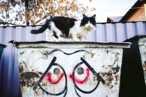 Schema.org Adoption Is a Dumpster Fire: Why Most Publishers Are Wasting Time on Half-Baked Markup
