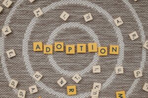 Schema.org Adoption Stalled at Publishers, Killing Rich Snippet Growth in 2024