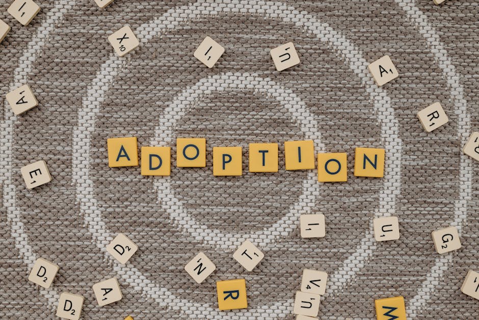 Schema.org Adoption Stalled at Publishers, Killing Rich Snippet Growth in 2024