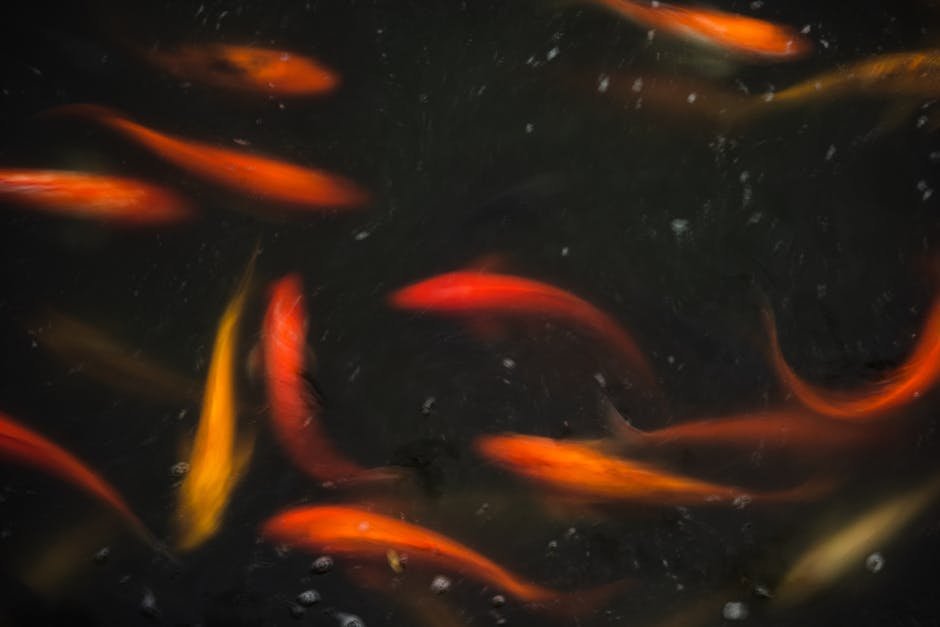 Sunday Reflections: A Pisces Moon Guides Us Inward