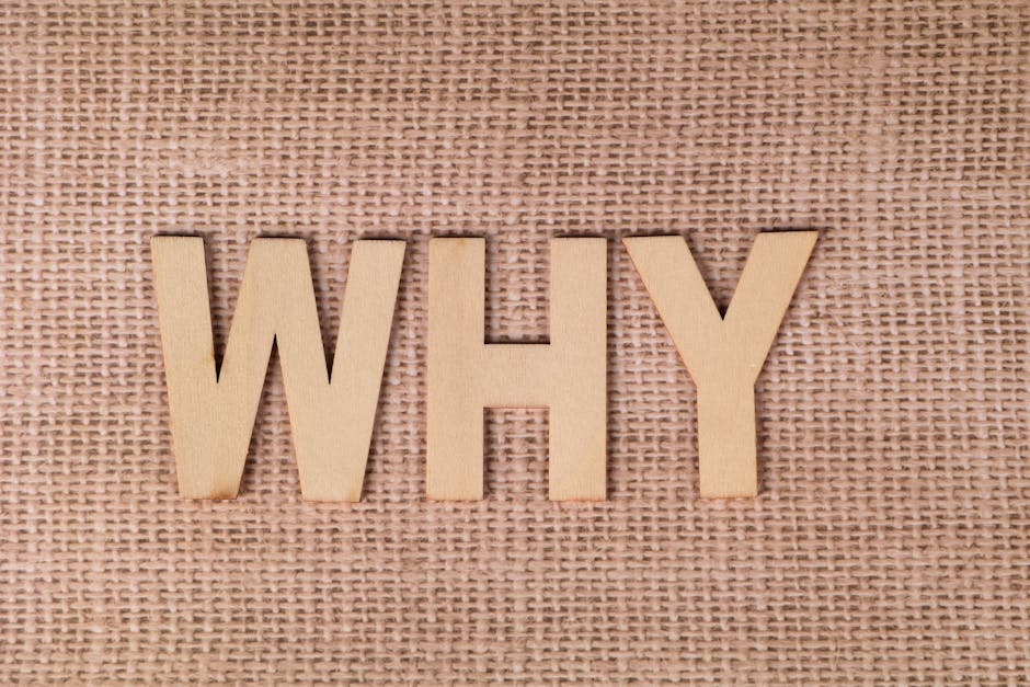 Why llms.txt Is the Latest SEO Cargo Cult Publishers Must Abandon Now