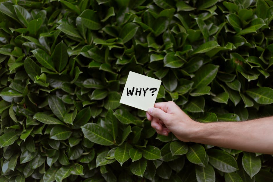 Why The Growth-Obsessed Marketing World Is Killing Strategic Thinking