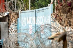 Google Surges on 'Congo Ebola Outbreak' as Global Health Agencies Scramble — But Is Anyone Actually Listening?