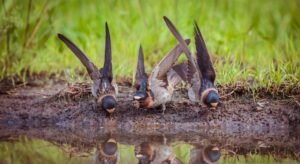 Yoast 25.0 Wants Publishers to Swallow Its Visibility Fairy Tale