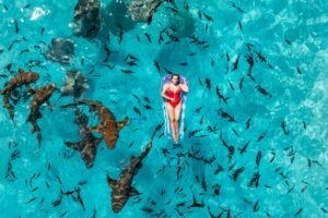 Shark Week: The Last TV Spectacle Standing (and It’s Not Because of the Sharks)