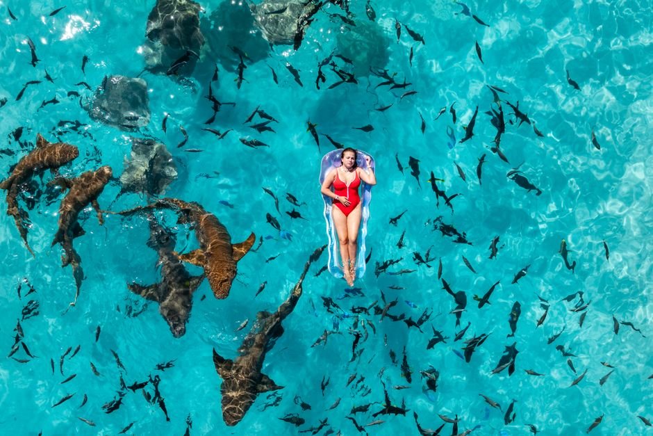 Shark Week: The Last TV Spectacle Standing (and It’s Not Because of the Sharks)