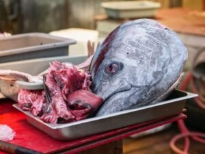 StarKist’s Agency Consolidation: Tuna, Mascots, and the Death of the Frankenstein Marketing Stack