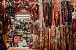 Halo Collar’s Data Fetish: Why DTC Dogs Sniff Out Retail the Hard Way