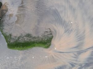Tuesday's Tidal Flow: Navigating the Waves of Change
