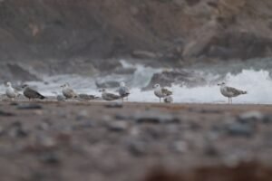 Thursday's Tidal Shifts: Mercury in Scorpio's Deep Dive